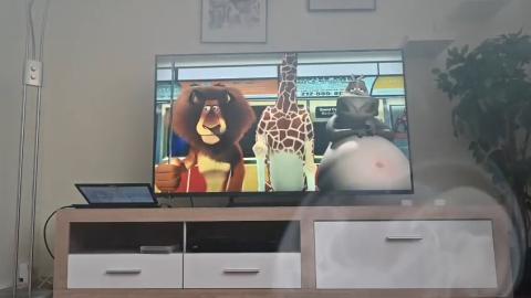 Floriansdorf Aachen, Teil 2